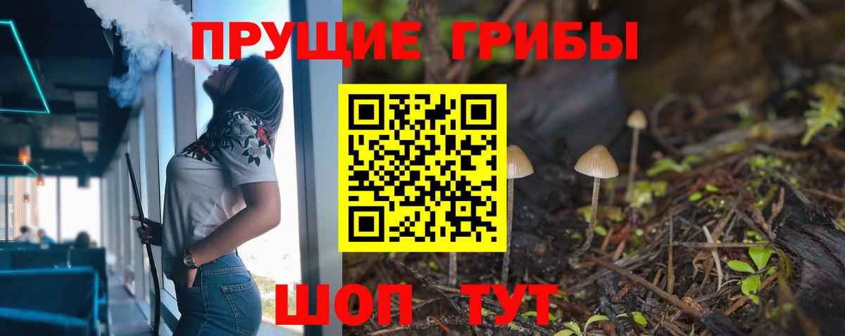 Псилоцибиновые грибы Psilocybe Дальнегорск